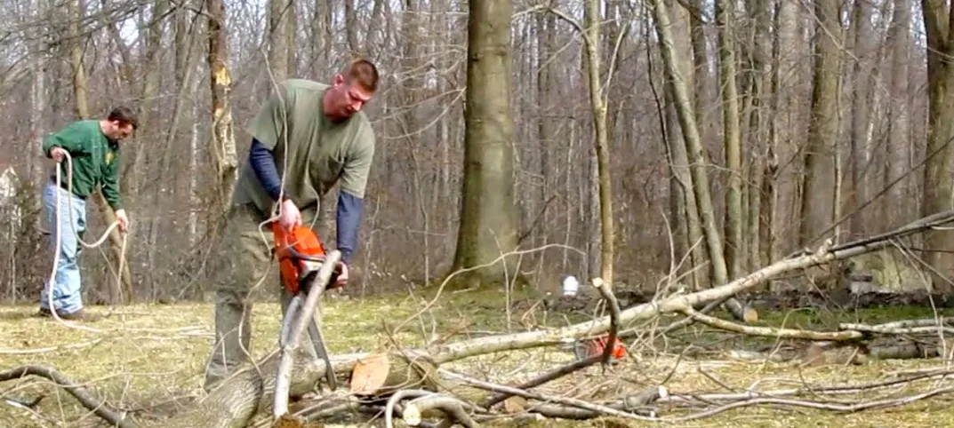 Commercial Tree Services & Property Care