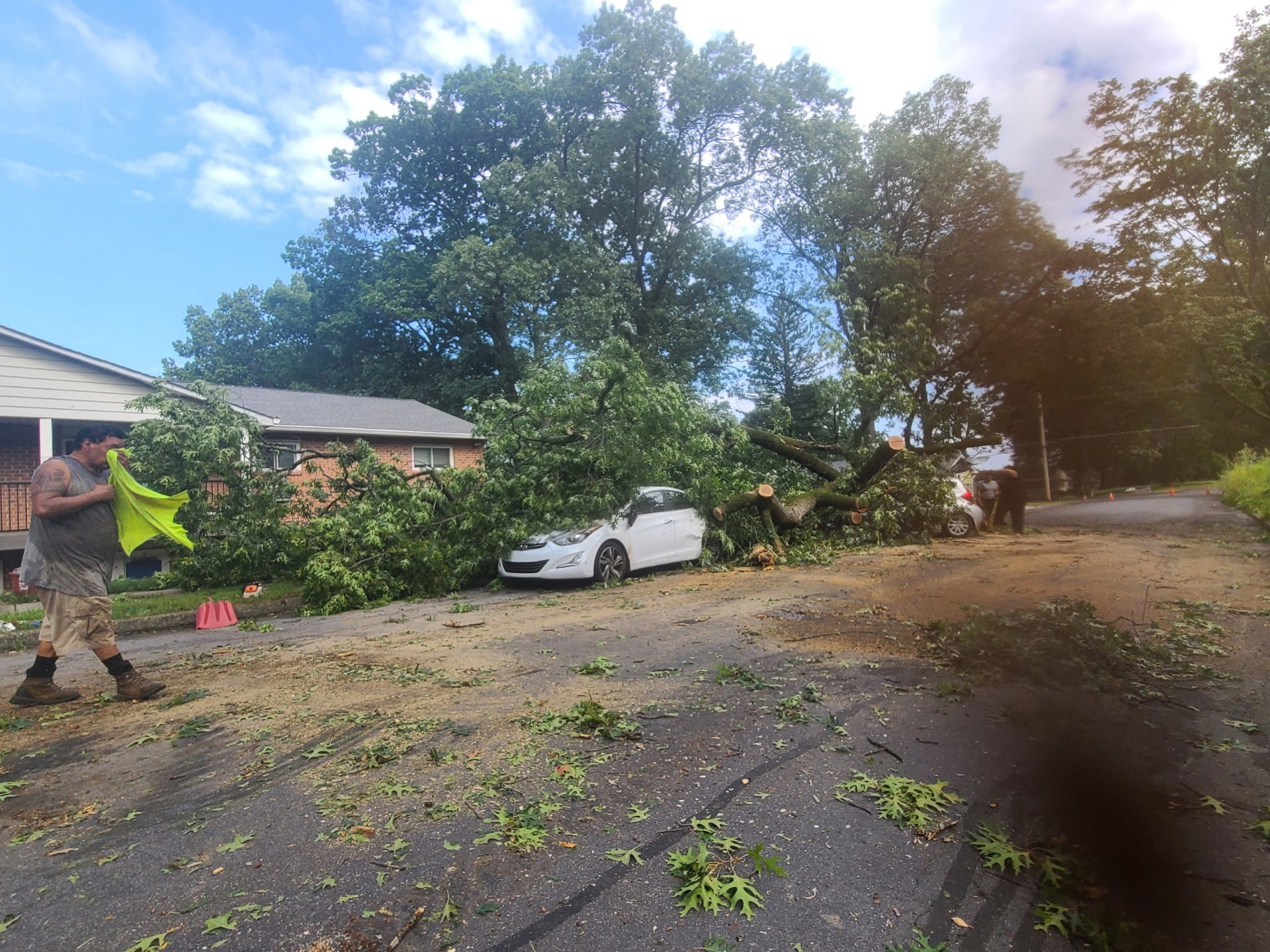 Emergency Tree Removal & Storm Cleanup