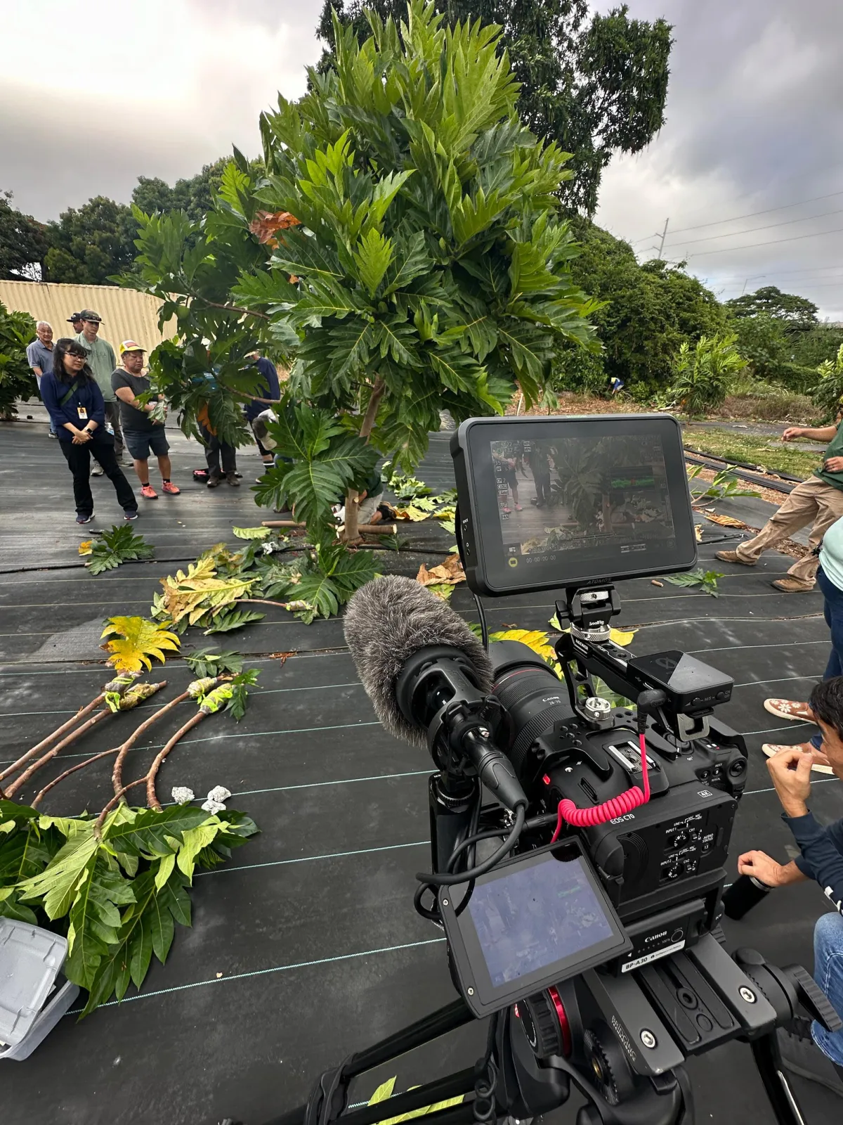 Training video in Hawaii.