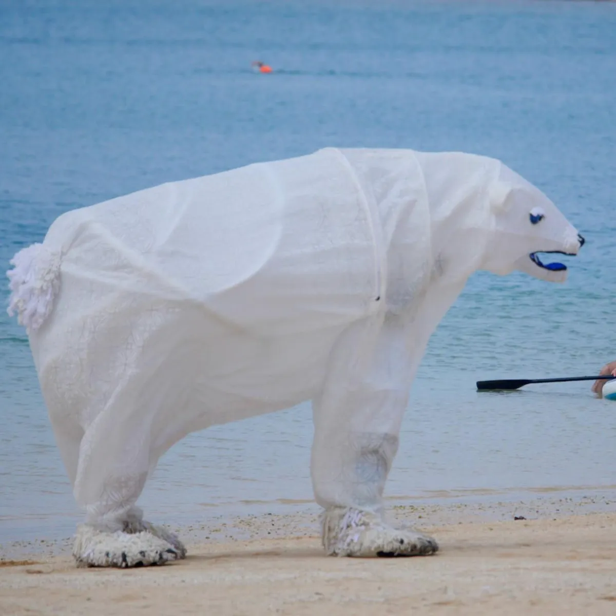 Polar bear costume in Hawaii