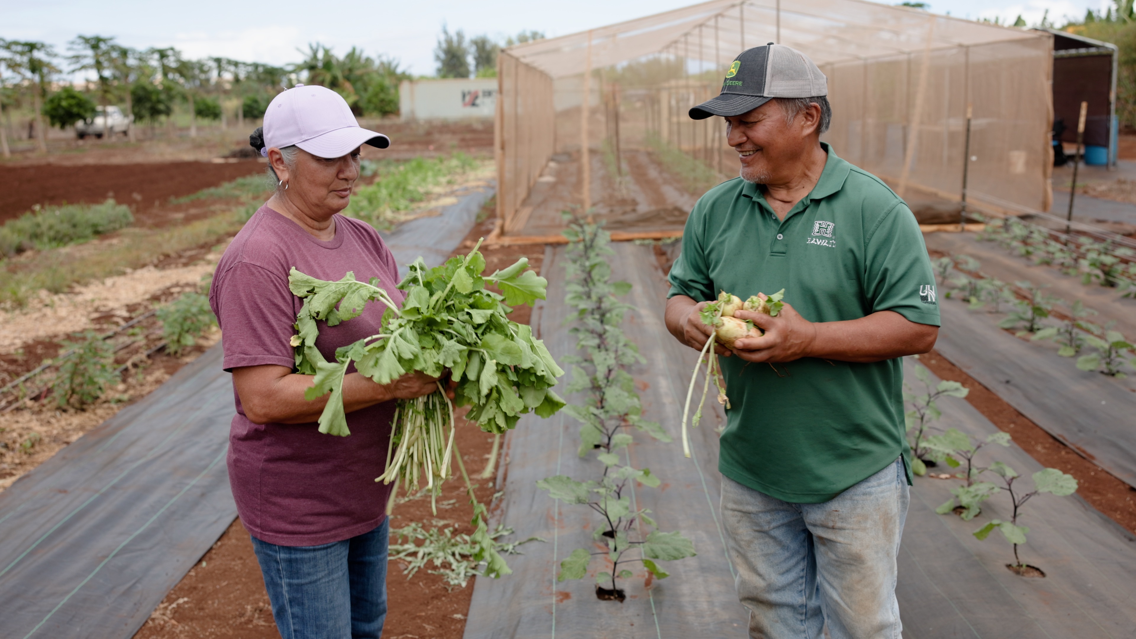 Video production in Hawaii