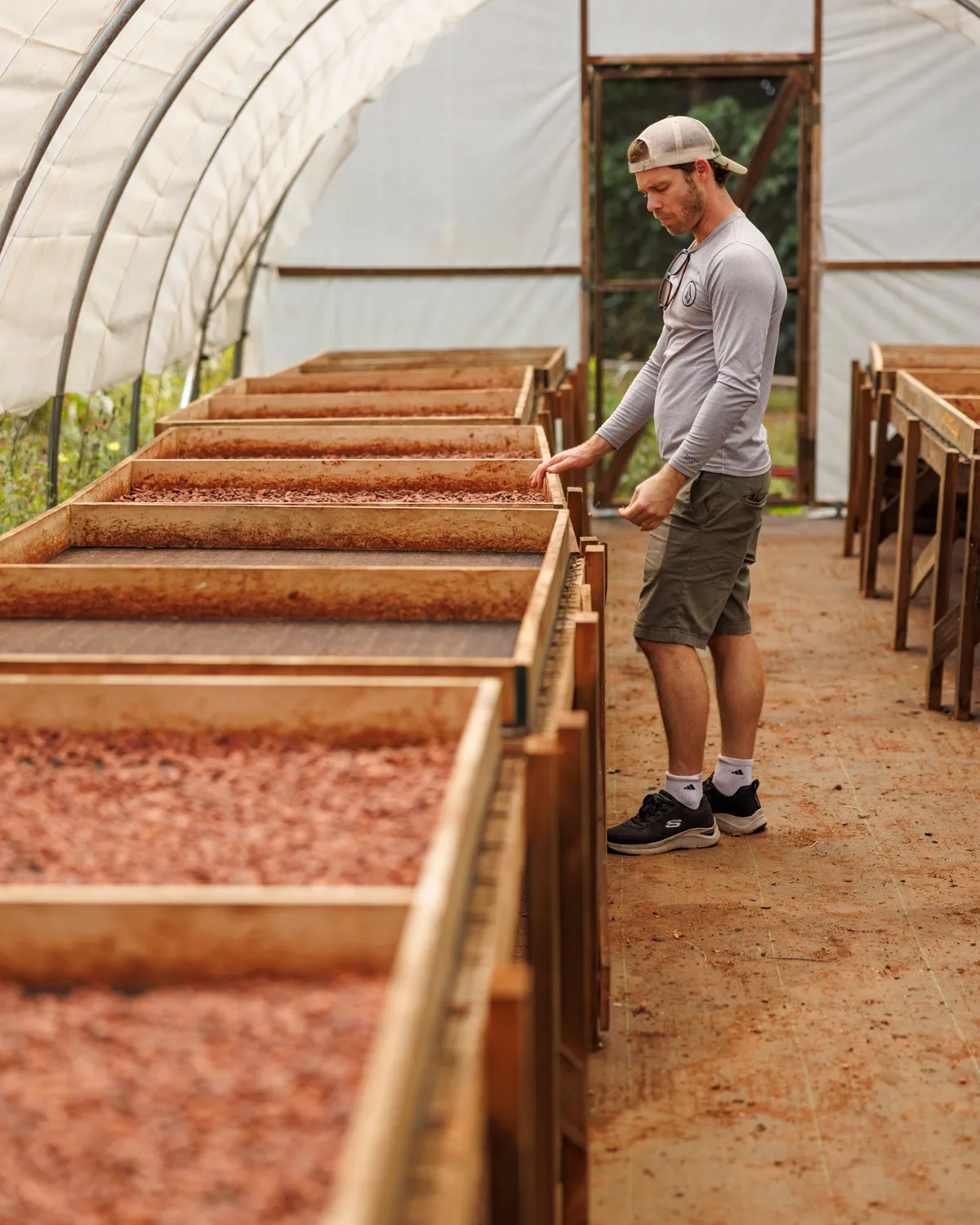 Manoa Chocolate Farm