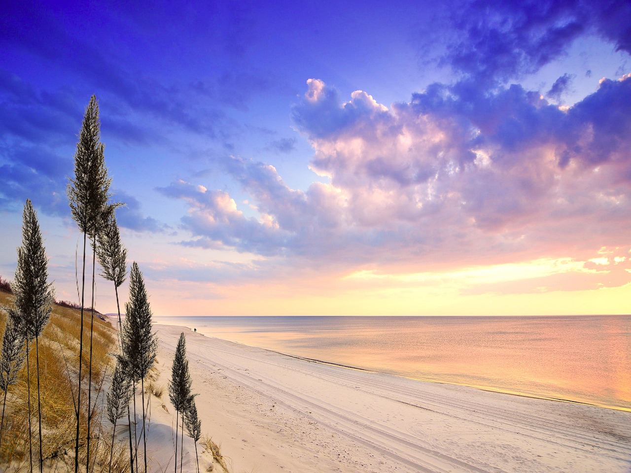 Crystal G Foust, RN, BSN, Agency Owner, Broker