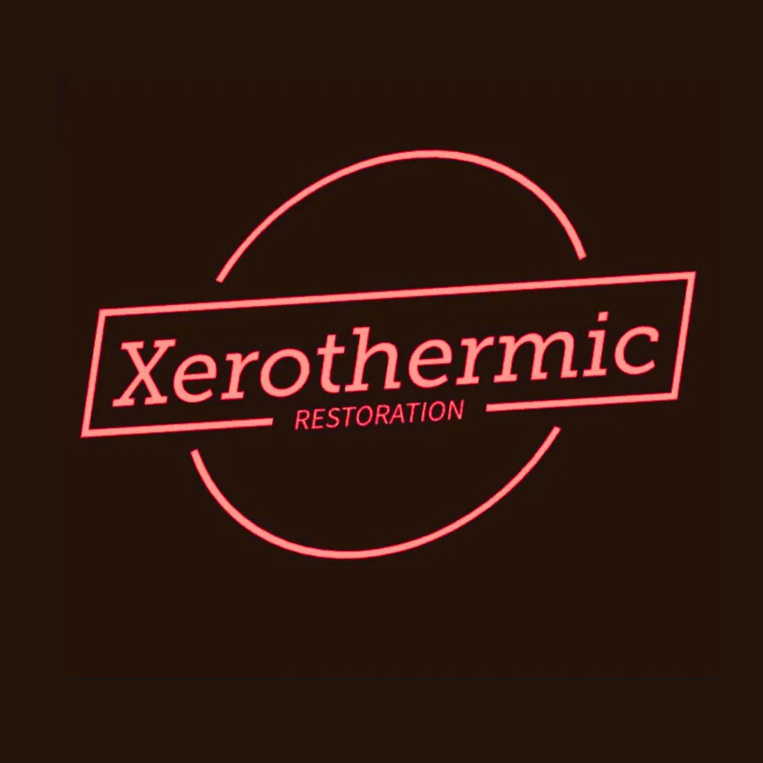 Branded Logo for A Virtual Advantage LLC