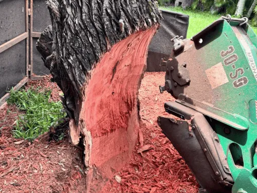 Tight Access Stump Grinding