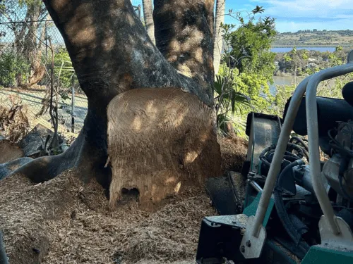  Stump Grinding