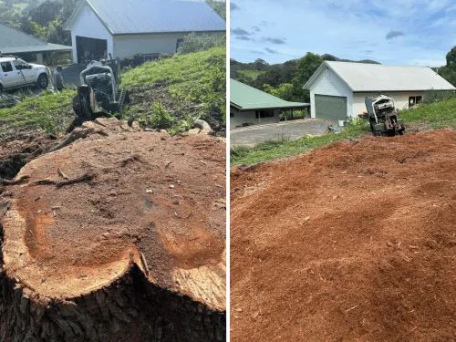 Tugun Stump Grinding