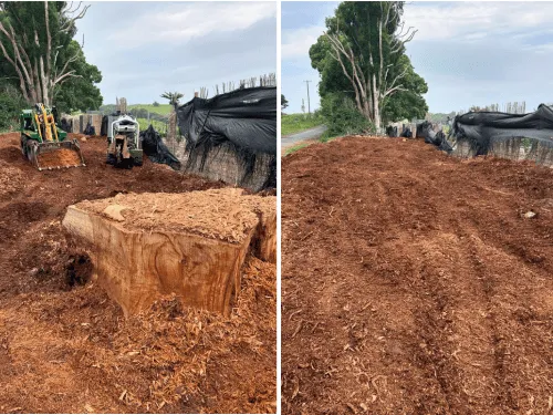 Complete Tree Removal Tugun