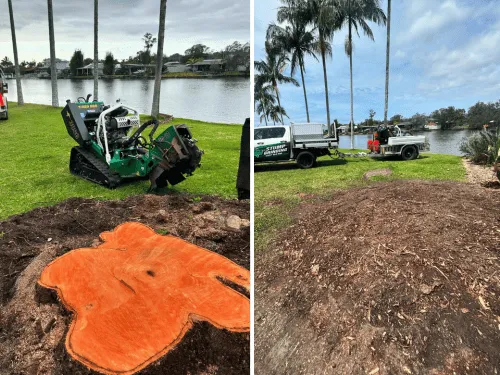 Tight Access Stump Grinding Tugun