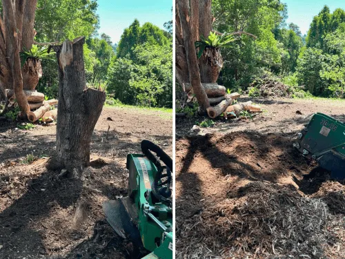 Stump Grinding Tugun