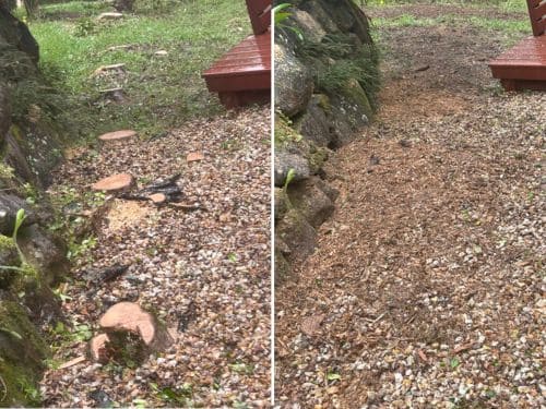 Stump Grinding Tugun