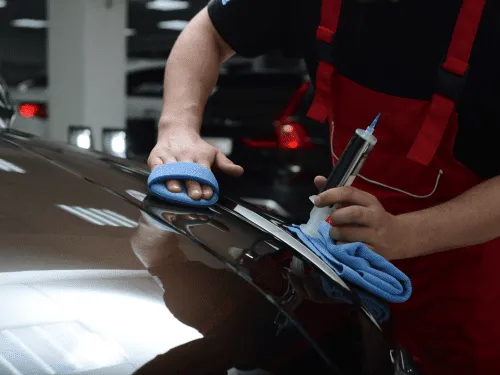 Exterior Detailing Pell City