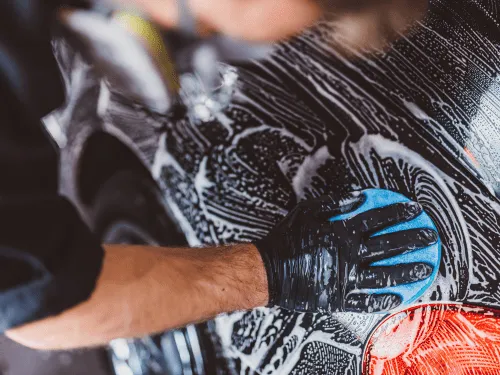 Exterior Detailing Pell City