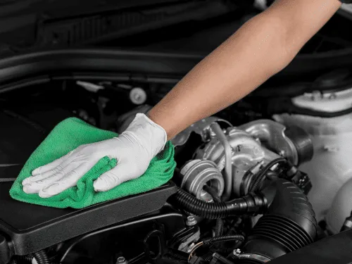 Exterior Detailing Pell City