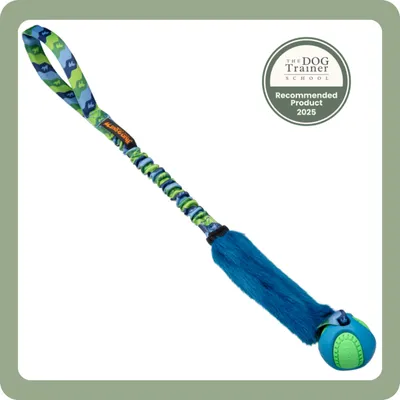 recommended pet products