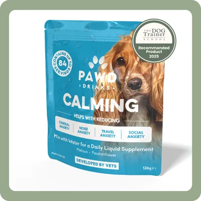 DotDotPet: Conditioning Dog Shampoo