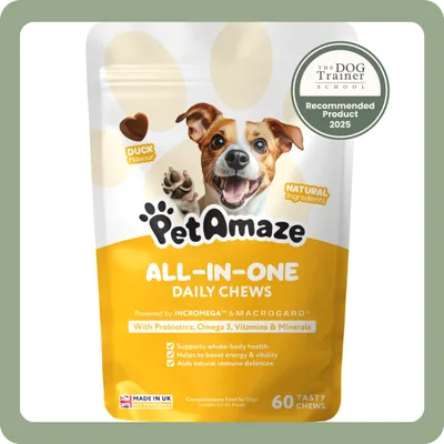 DotDotPet: Conditioning Dog Shampoo