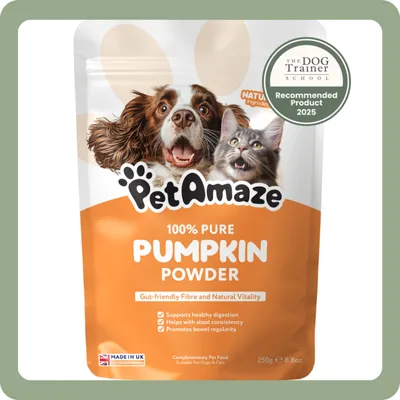 DotDotPet: Conditioning Dog Shampoo