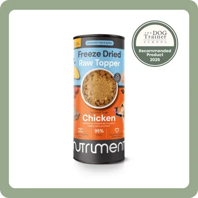 DotDotPet: Conditioning Dog Shampoo