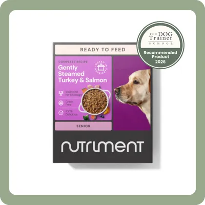 DotDotPet: Conditioning Dog Shampoo