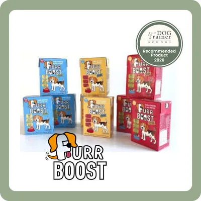 DotDotPet: Conditioning Dog Shampoo