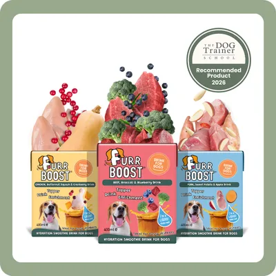 DotDotPet: Conditioning Dog Shampoo