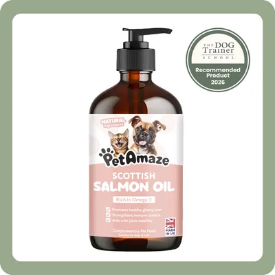DotDotPet: Conditioning Dog Shampoo