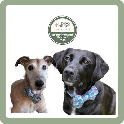 DotDotPet: Conditioning Dog Shampoo