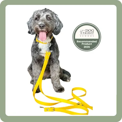 DotDotPet: Conditioning Dog Shampoo