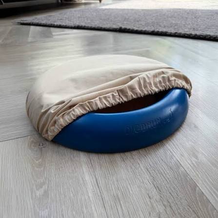 DigDrum awarded TDTS Recommended: an enrichment outlet for dogs who love to dig
