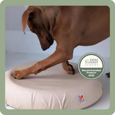 DotDotPet: Conditioning Dog Shampoo