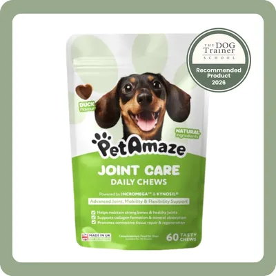 Boil and Broth Bone Broth Treats
