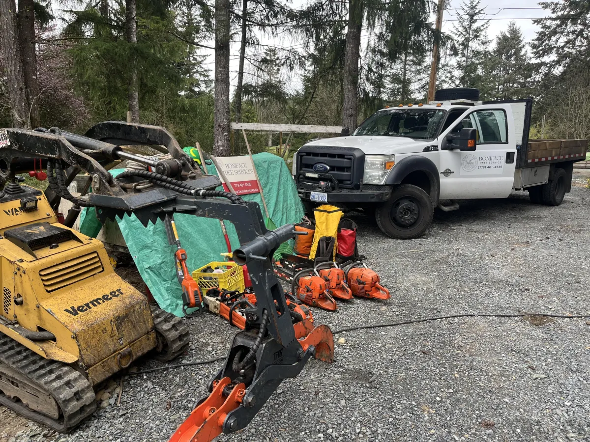 Mini skid steer with grapple moving firewood