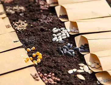 60 min Garden Consult 