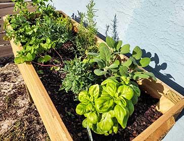 Garden designs and  planting plans