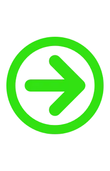 Mushroom | Puffers Paradise