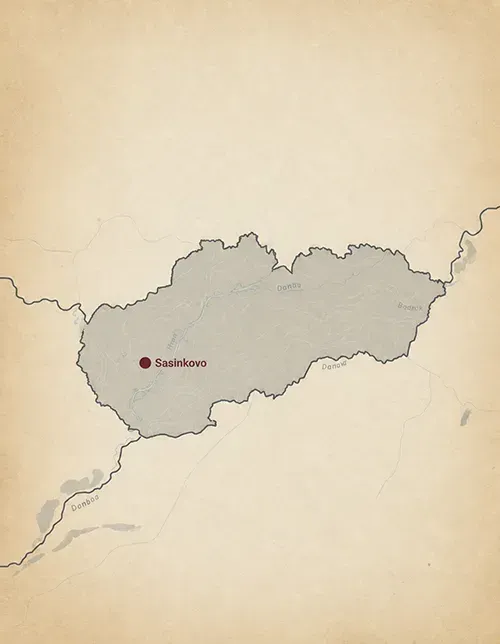Restrained map illustrating the location of Sasinkovo within Central Europe