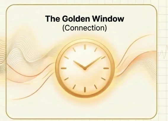 The Twilight Mind: Debunking the "Theta Window" Myth to Unlock Real Brain Potential
