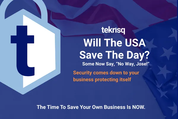 Counting on US Government Cybersecurity to Protect Your Business?
