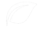 Organic Prunes