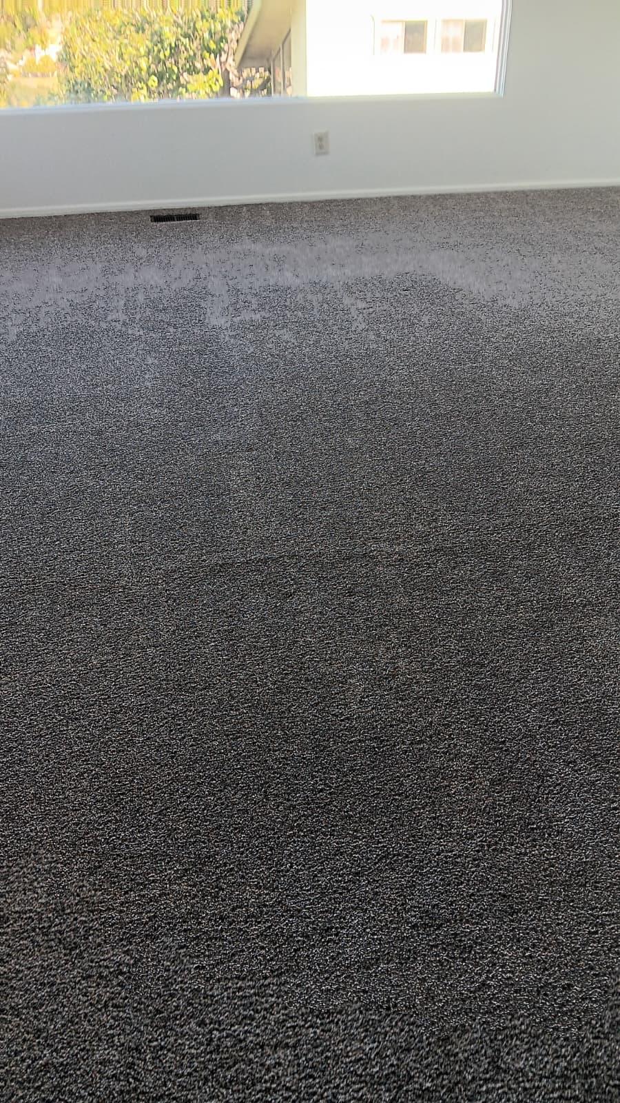 Deep upholstery cleaning on sofa in a Santa Maria home — serving homeowners and commercial/office properties in Santa Barbara and San Luis Obispo counties.