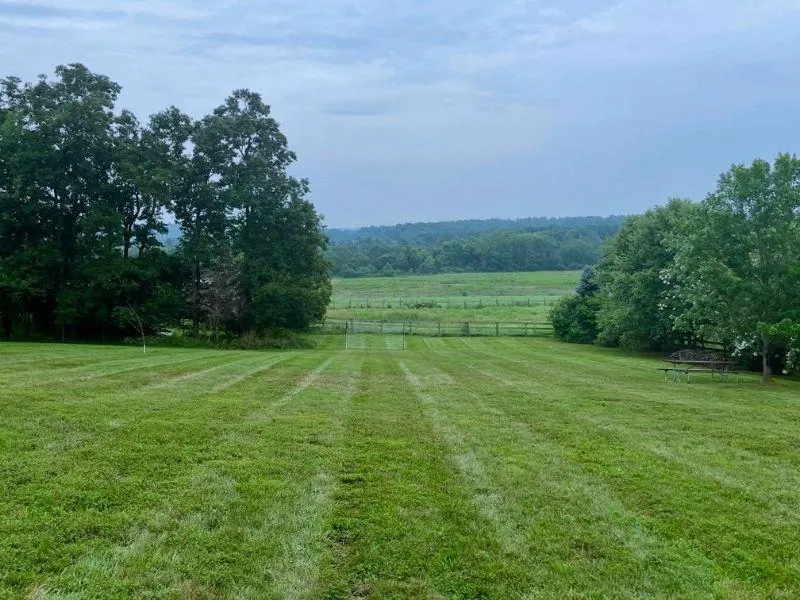 Healthy, green grass serviced by Grant & Son's Lawn Care