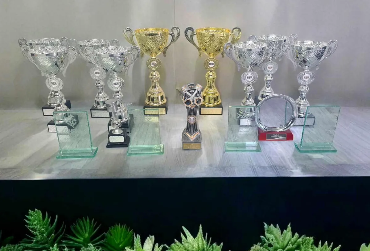 Xtreme Paint Studio Airbrush Awards