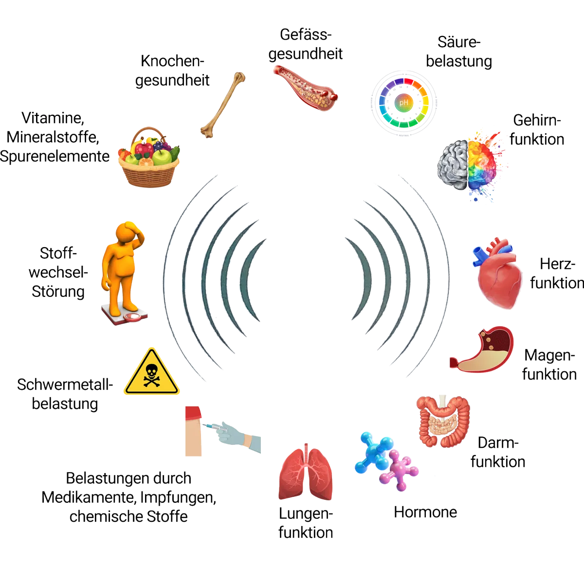 Was wird beim Bodyscan gemessen?
