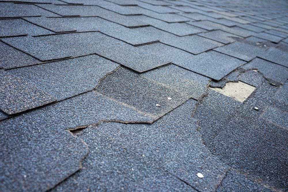 Damaged shingle roofing requiring preventative maintenance to avoid further issues.