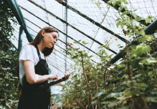 Planting & Garden Care