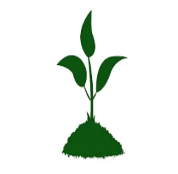 Seasonal Cleanups