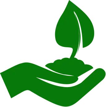 Lawn Care & Maintenance