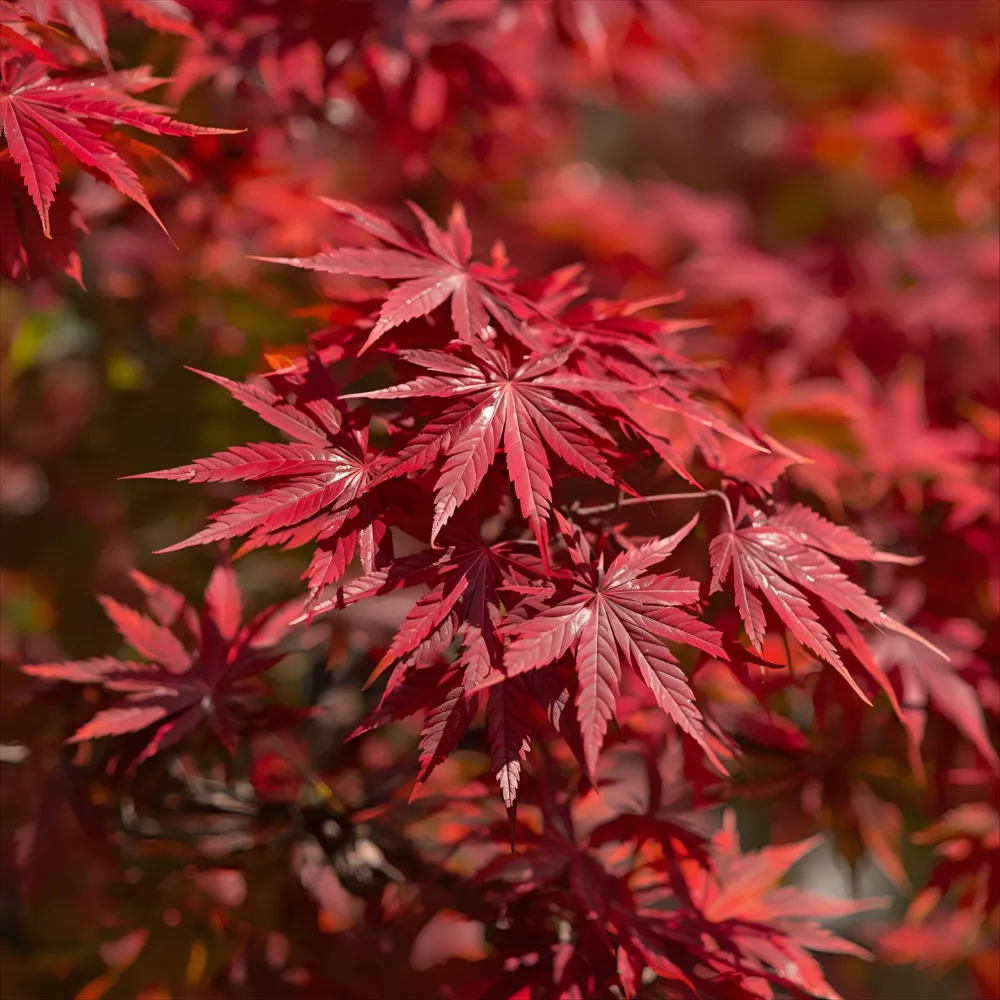 Delicate green leaves on a tree branch