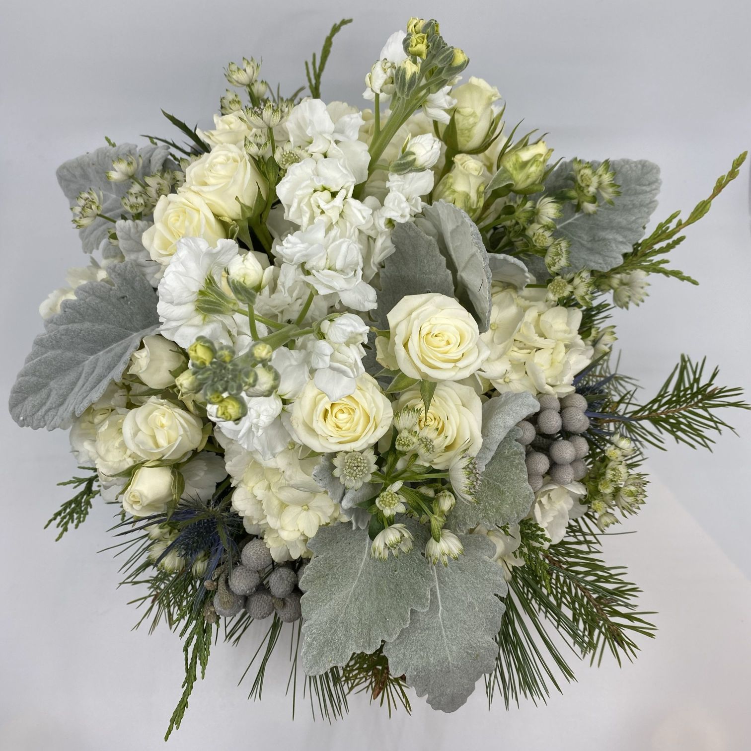 A cream and white bridal bouquet with silvery greens, spray roses, stock, dusty miller, Astrantia, Brunia balls, and winter evergreens like cedar and fir.